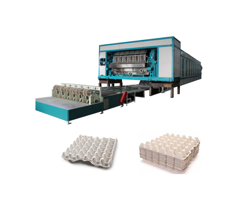 5000-7000pcs/H Yumurta Tepsisi Üretim Makinesi Çoklu Kurutma Hatıyla