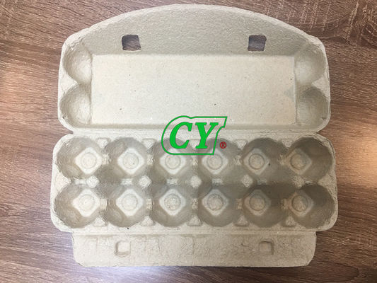 Yumurta Karton Kağıt Hamuru Sıcak Pres Makinası Çevre Koruma 20 Ton